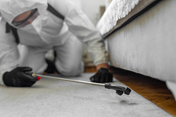 Professional Bed Bug Control technician working in Roswell, GA
