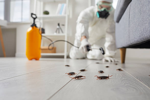 Trusted Rodent Control service in Roswell, GA - Nex Pest Control